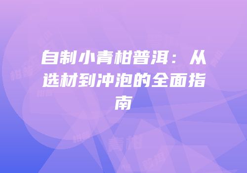 自制小青柑普洱：从选材到冲泡的全面指南