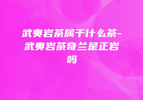武夷岩茶属于什么茶-武夷岩茶奇兰是正岩吗