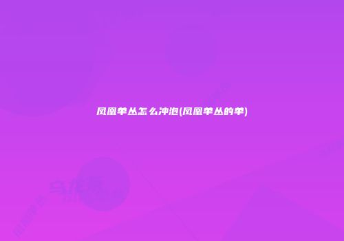 凤凰单丛怎么冲泡(凤凰单丛的单)