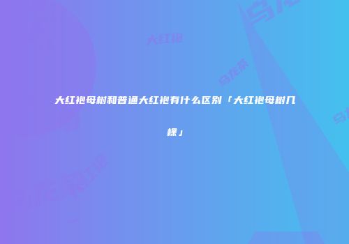 大红袍母树和普通大红袍有什么区别「大红袍母树几棵」