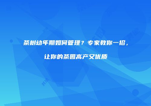 茶树幼年期如何管理？专家教你一招，让你的茶园高产又优质