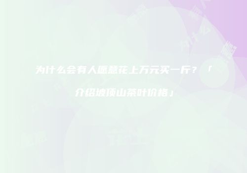 为什么会有人愿意花上万元买一斤？「介绍坡顶山茶叶价格」