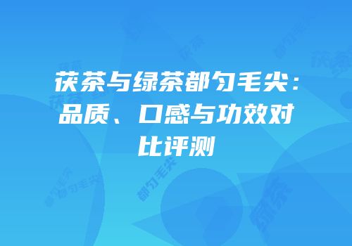 茯茶与绿茶都匀毛尖：品质、口感与功效对比评测