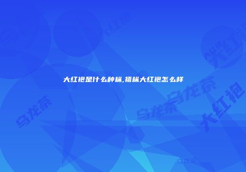 大红袍是什么种枞,禧枞大红袍怎么样