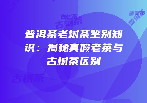 普洱茶老树茶鉴别知识：揭秘真假老茶与古树茶区别
