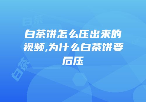 白茶饼怎么压出来的视频,为什么白茶饼要后压