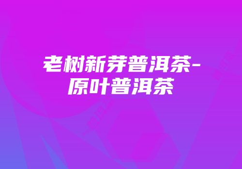 老树新芽普洱茶-原叶普洱茶
