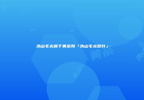 沩山毛尖属于黄茶吗「沩山毛尖原叶」