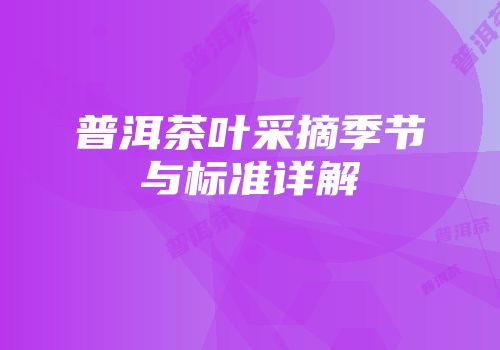 普洱茶叶采摘季节与标准详解