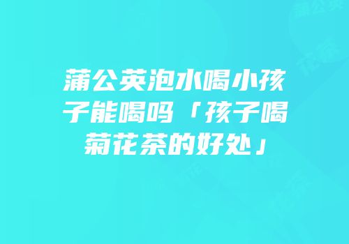 蒲公英泡水喝小孩子能喝吗「孩子喝菊花茶的好处」