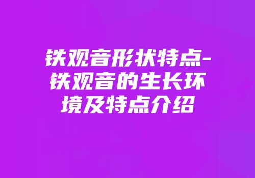 铁观音形状特点-铁观音的生长环境及特点介绍
