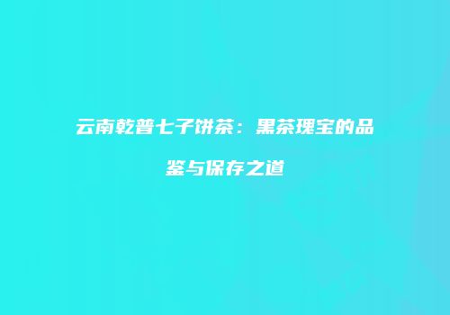 云南乾普七子饼茶：黑茶瑰宝的品鉴与保存之道