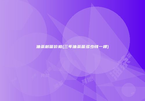 油茶树苗价格(三年油茶苗多少钱一棵)