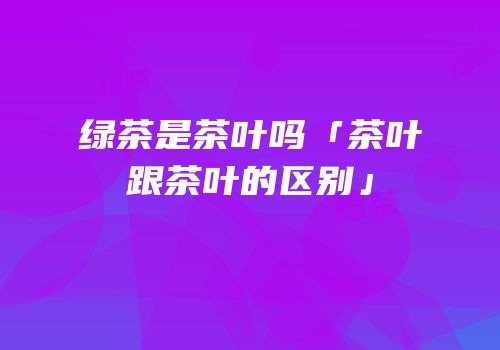 绿茶是茶叶吗「茶叶跟茶叶的区别」