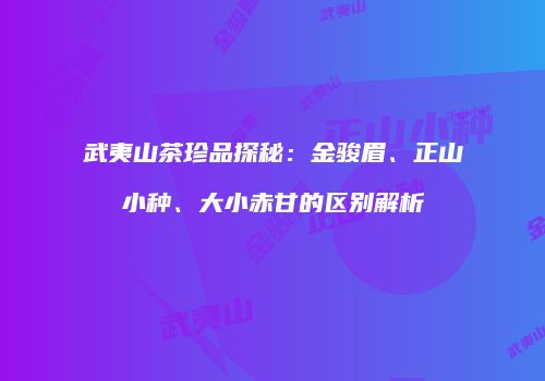 武夷山茶珍品探秘：金骏眉、正山小种、大小赤甘的区别解析
