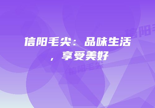 信阳毛尖：品味生活，享受美好