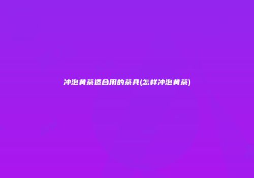 冲泡黄茶适合用的茶具(怎样冲泡黄茶)