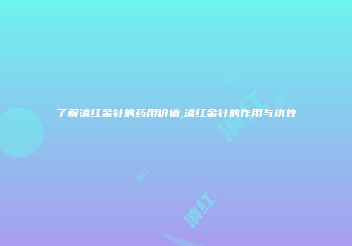 了解滇红金针的药用价值,滇红金针的作用与功效