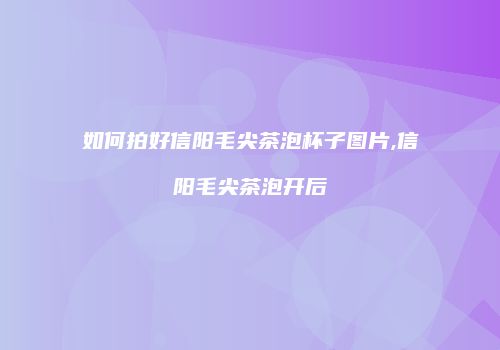 如何拍好信阳毛尖茶泡杯子图片,信阳毛尖茶泡开后