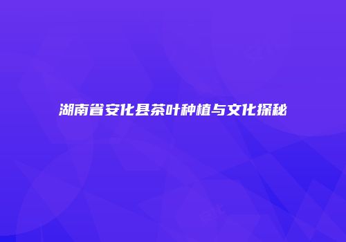 湖南省安化县茶叶种植与文化探秘