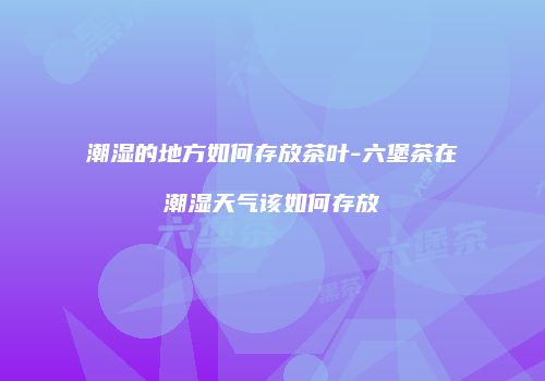 潮湿的地方如何存放茶叶-六堡茶在潮湿天气该如何存放