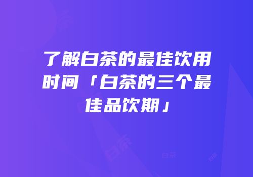 了解白茶的最佳饮用时间「白茶的三个最佳品饮期」
