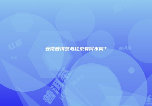 云南普洱茶与红茶有何不同？