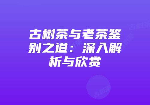 古树茶与老茶鉴别之道：深入解析与欣赏