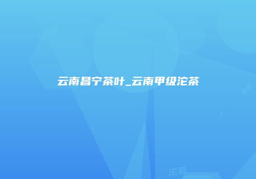 云南昌宁茶叶_云南甲级沱茶