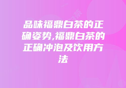 品味福鼎白茶的正确姿势,福鼎白茶的正确冲泡及饮用方法
