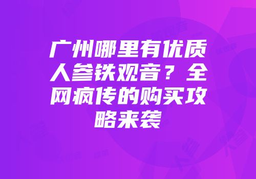 广州哪里有优质人参铁观音？全网疯传的购买攻略来袭