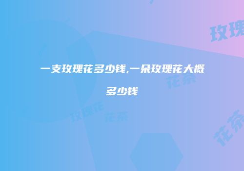 一支玫瑰花多少钱,一朵玫瑰花大概多少钱