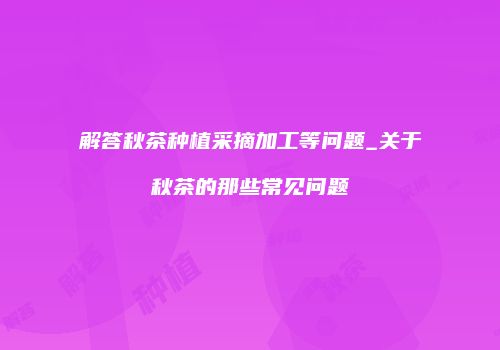 解答秋茶种植采摘加工等问题_关于秋茶的那些常见问题