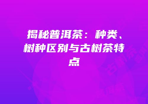 揭秘普洱茶：种类、树种区别与古树茶特点