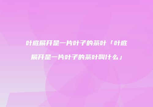 叶底展开是一片叶子的茶叶「叶底展开是一片叶子的茶叶叫什么」