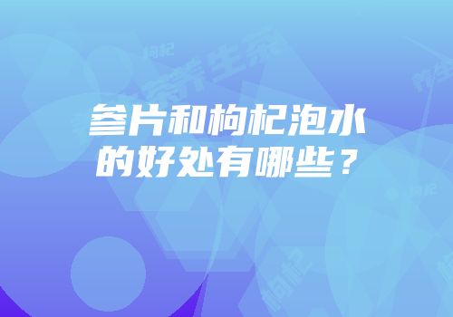 参片和枸杞泡水的好处有哪些？