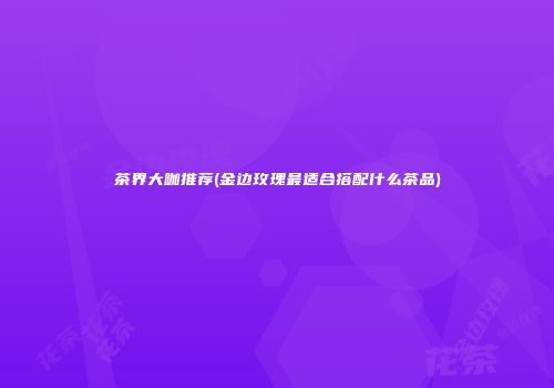 茶界大咖推荐(金边玫瑰最适合搭配什么茶品)