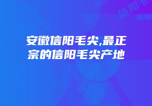 安徽信阳毛尖,最正宗的信阳毛尖产地