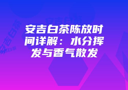 安吉白茶陈放时间详解：水分挥发与香气散发