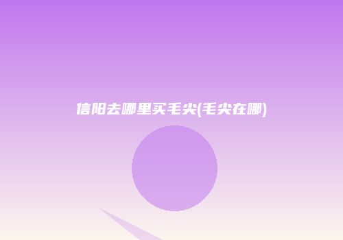 信阳去哪里买毛尖(毛尖在哪)