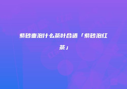 紫砂壶泡什么茶叶合适「紫砂泡红茶」