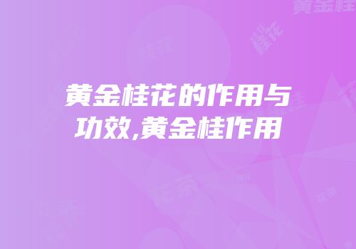 黄金桂花的作用与功效,黄金桂作用