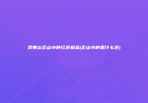 武夷山正山小种红茶极品(正山小种是什么茶)