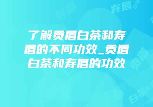 了解贡眉白茶和寿眉的不同功效_贡眉白茶和寿眉的功效