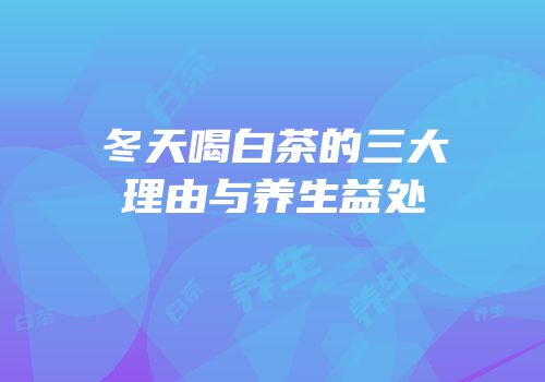 冬天喝白茶的三大理由与养生益处