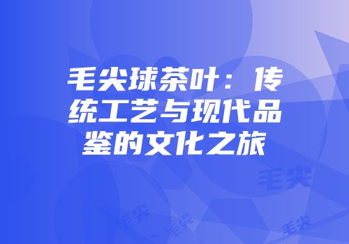 毛尖球茶叶：传统工艺与现代品鉴的文化之旅