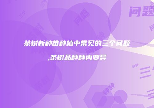 茶树新种苗种植中常见的三个问题,茶树品种种内变异
