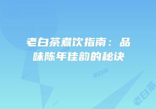 老白茶煮饮指南：品味陈年佳韵的秘诀
