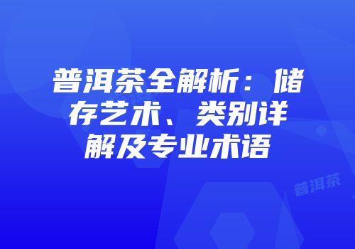 普洱茶全解析：储存艺术、类别详解及专业术语