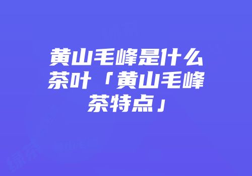 黄山毛峰是什么茶叶「黄山毛峰茶特点」